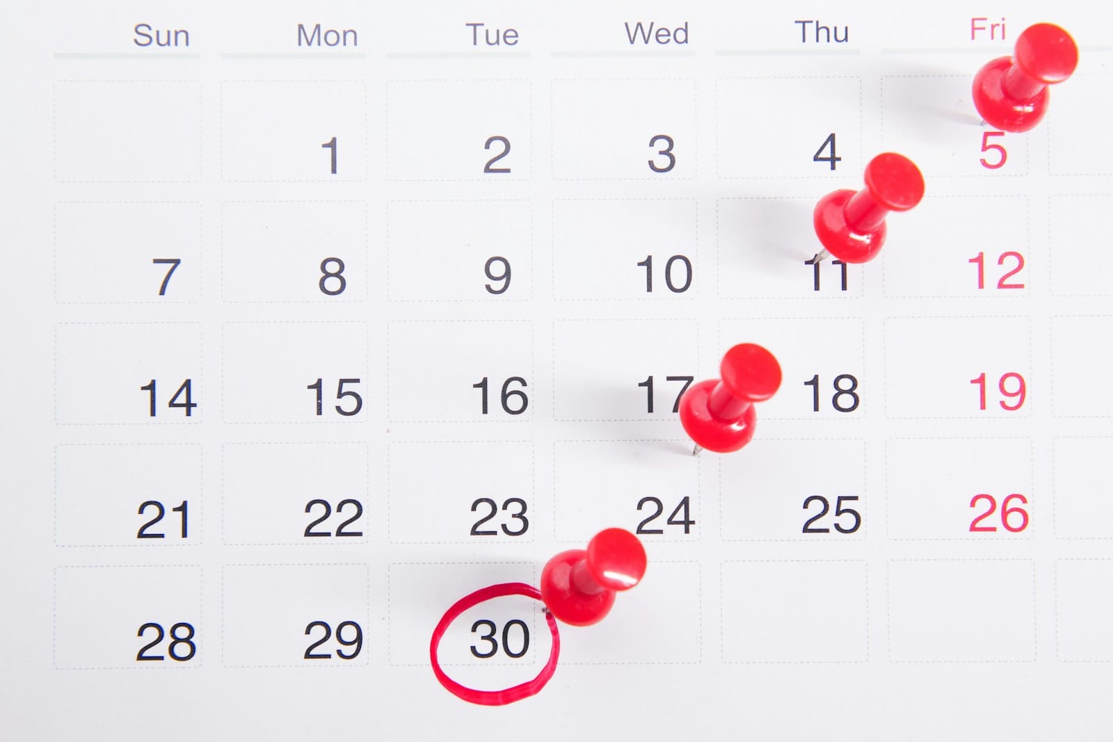 Настенный календарь с датами, отмеченными красными кнопками, и обведённым 30-м числом
